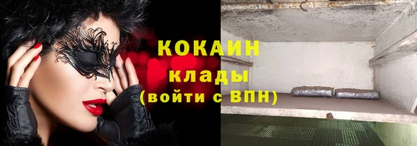 молекула духа Лабытнанги