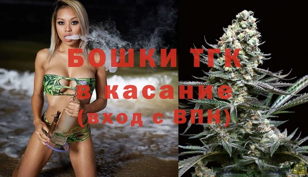 молекула духа Лабытнанги