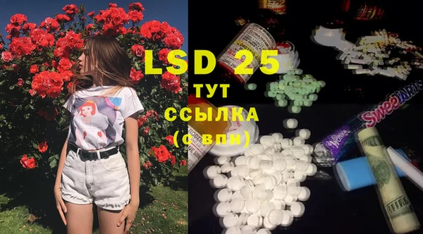 прущие грибы Ладушкин
