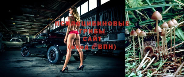 прущие грибы Ладушкин