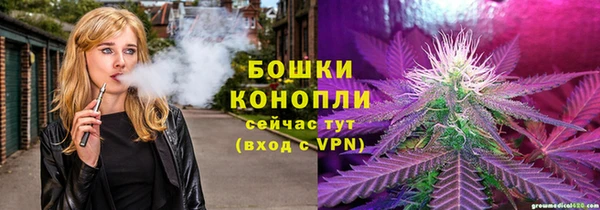 молекула духа Лабытнанги