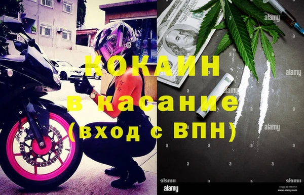прущие грибы Ладушкин