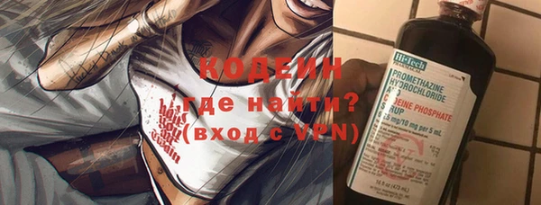 прущие грибы Ладушкин