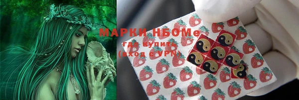 прущие грибы Ладушкин