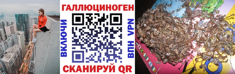 Псилоцибиновые грибы ЛСД  наркошоп  Оренбург 