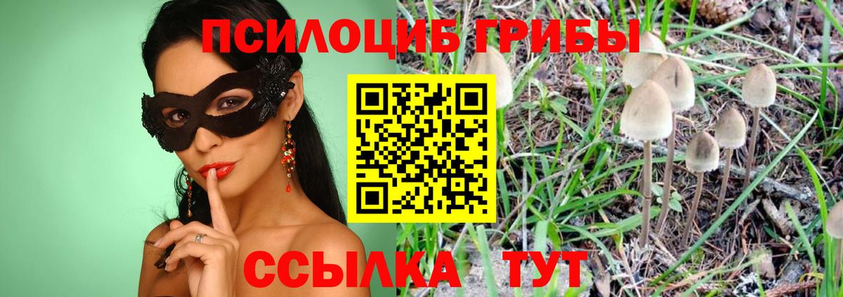 Галлюциногенные грибы Magic Shrooms  Вход с VPN  Галлюциногенные грибы Psilocybe  Оренбург 